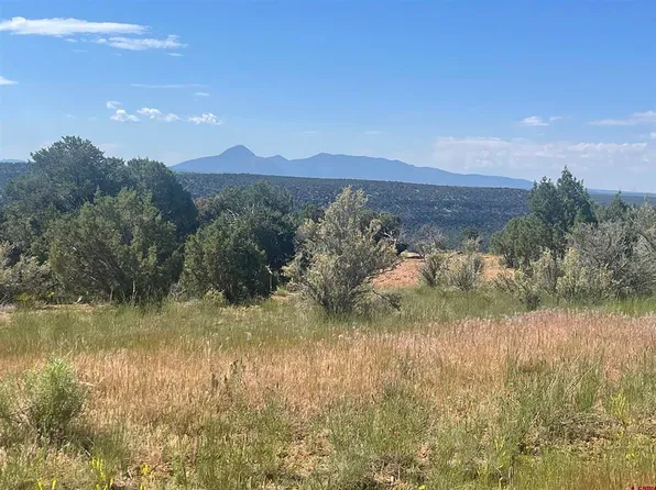 21300 Road 3.7, Dove Creek, CO 81324