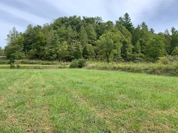 Lick Creek Rd, Webbville, KY 41180