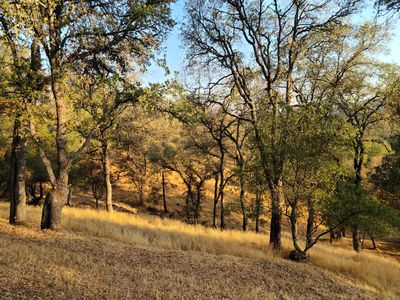 0 Baldwin Dr, Placerville, CA, 95667