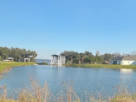 View from the backyard