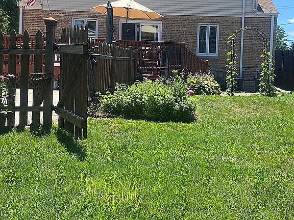 Back yard