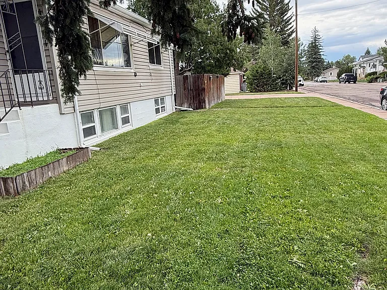 Front Yard