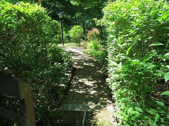 Beautifully landscaped, brick paver walk way to the back deck.