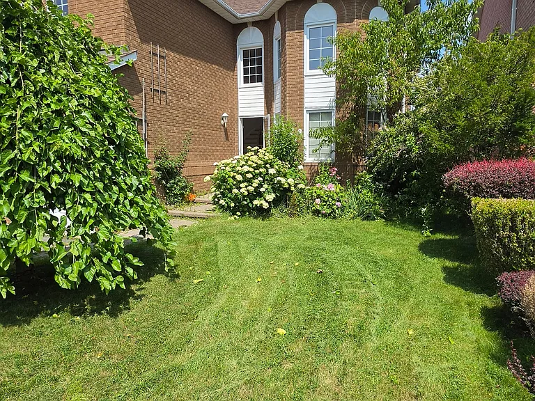 39 Pogson Dr — Photo 3