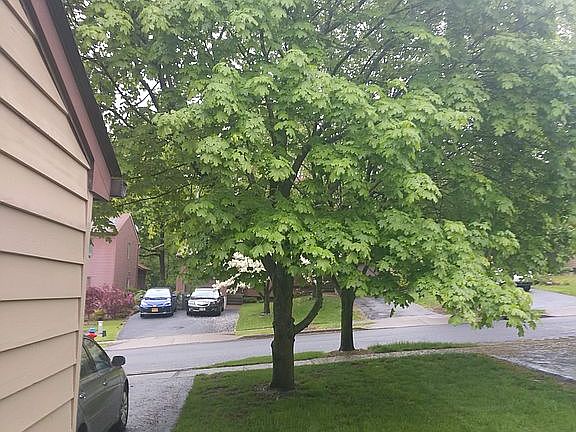 2nd image of 92 Sterling Pl