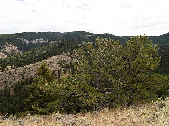 5th image of Skyline Rd