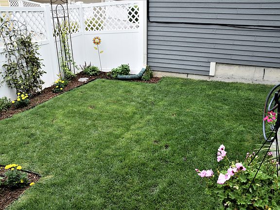 Great backyard