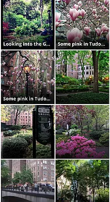 Rented by Bond New York | media 38