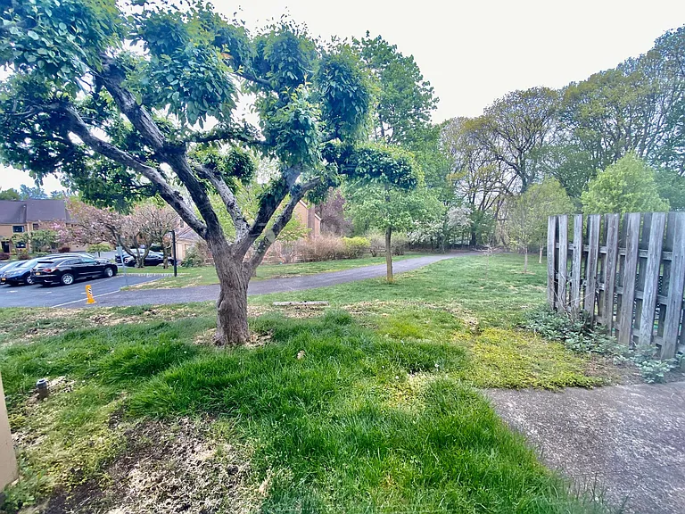 75 Greenway Close #1 — Photo 8
