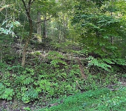 5th image of 18 Horseshoe Cove Dr