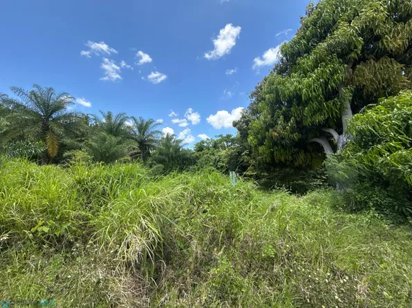 Km 1.7 Carr 120 Solar, Sabana Grande, PR 00637