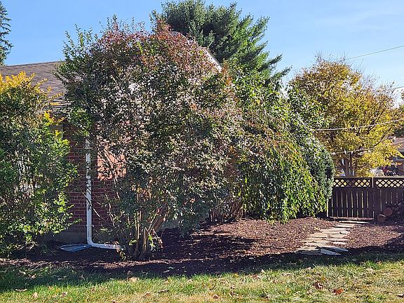 front side yard