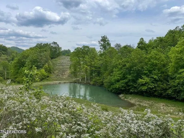 3796 Highway 25e S, Tazewell, TN 37879