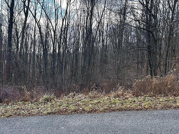 2nd image of LOT 17 Weaver Woods Rd