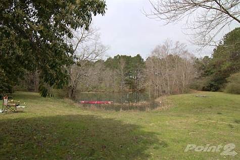 Pond
