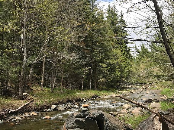 Great hiking trail along the brook