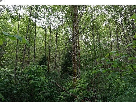 5th image of 0 NE Buncombe Hollow Rd #1
