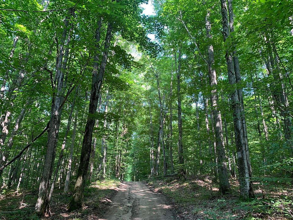 1st image of Blackberry Ln