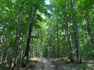 Blackberry Ln, Alba, MI 49611