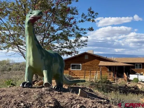 51233 Carnation Road, Delta, CO 81416
