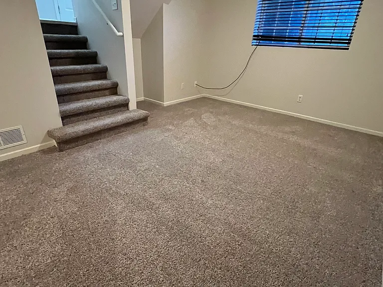 lower level