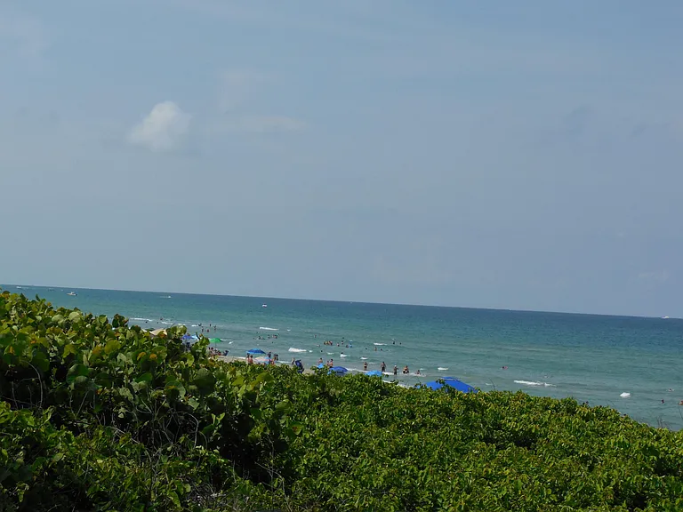 800 Juno Ocean Walk #301A — Photo 37