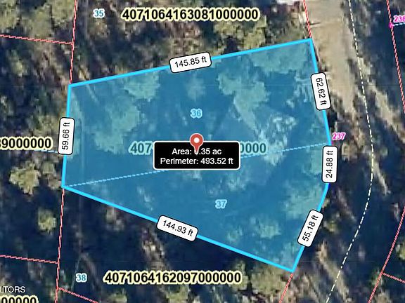 2nd image of 237 Yellow Pine Rd