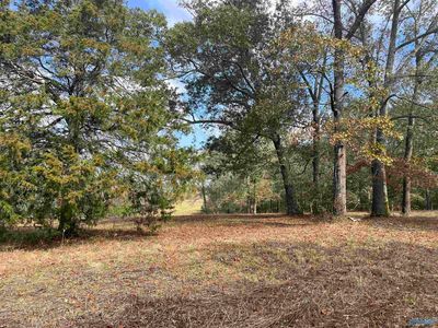 Matt Morrow Rd, Arab, AL, 35016