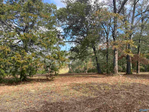 Matt Morrow Rd, Arab, AL 35016