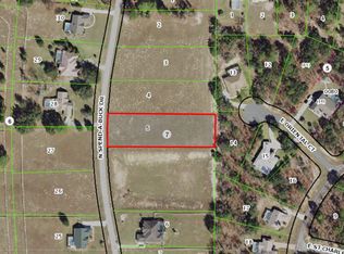 1359 N Spend A Buck Dr, Hernando, FL 34442