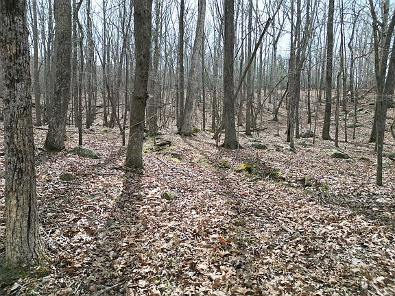 3rd image of 367 Rocky Cove Ln