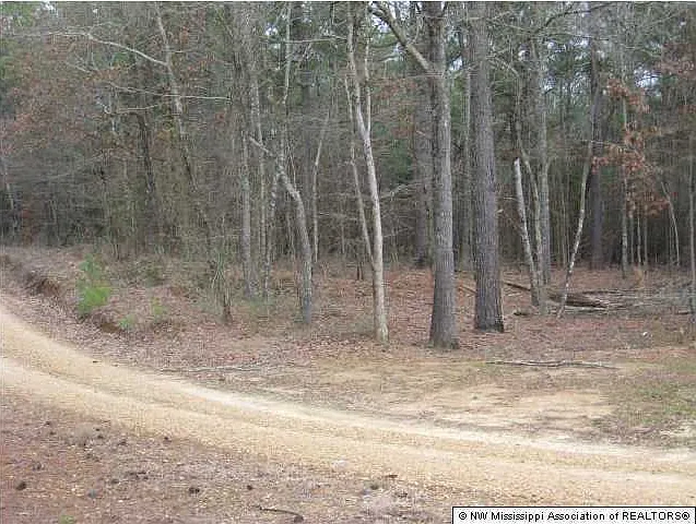 1552 S Mullins Rd — Photo 9