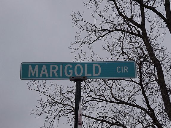 5th image of 357 Marigold Cir #36
