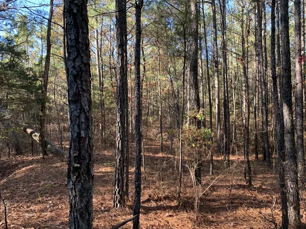 0 Nubbin Ridge Rd Lot 2, Middleton, TN 38052