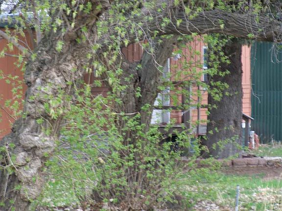 2nd image of 120 Lincoln Ave W