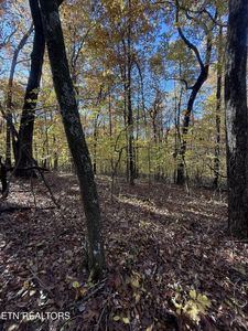 29 Crest Pl Lot 29, Monterey, TN, 38574