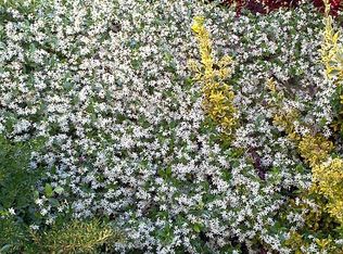 2120 Cody Ct, Stockton, CA 95209