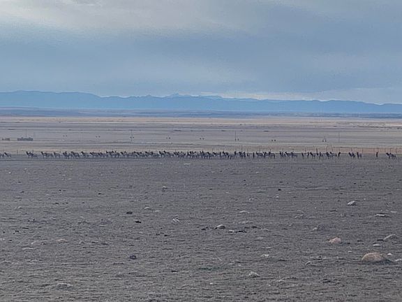 3rd image of County Road 4616