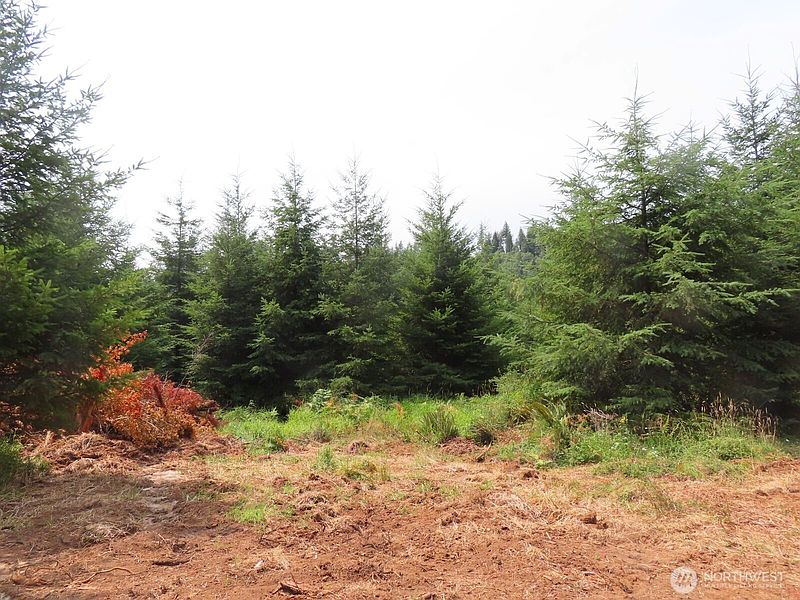 4th image of 0 Lot D Mill Creek Lane