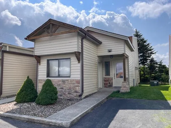 65 Shamrock Cir, Snowshoe, WV 26209