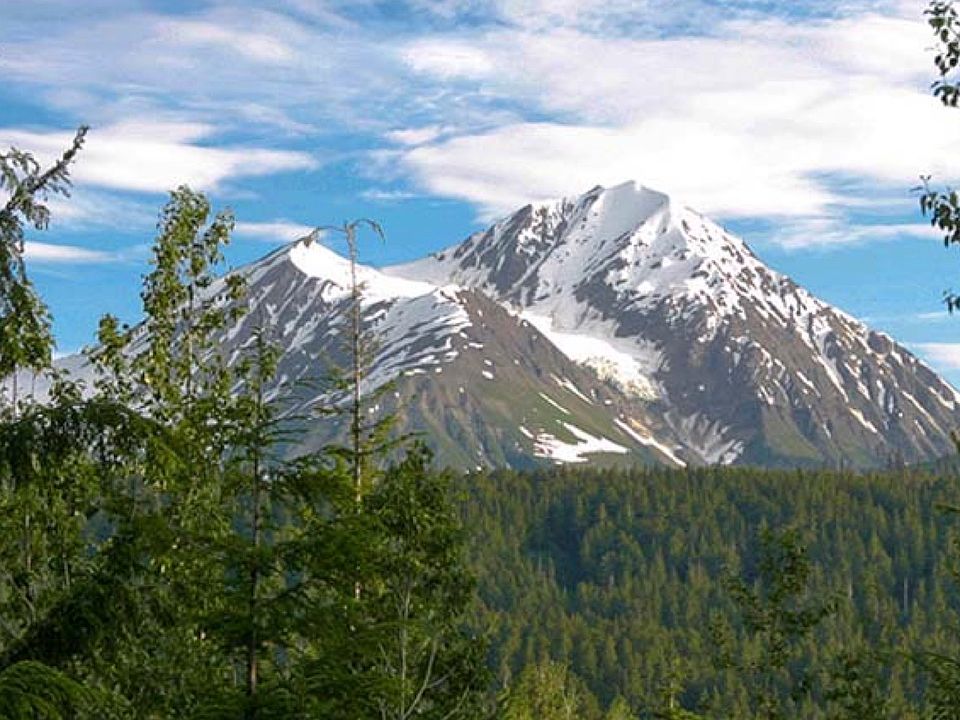 VIEW OF FLOWER MOUNTAIN