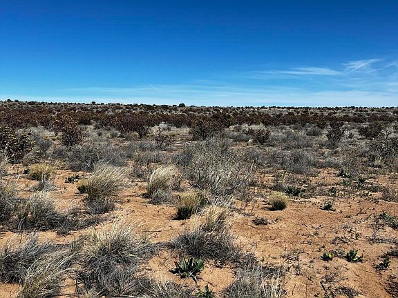 5th image of (Undisclosed Address)