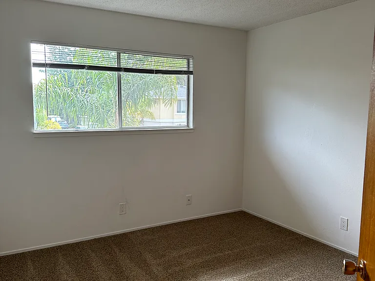 318 Gault St #6 — Photo 13