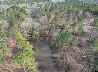 TRACT County Road 4037 #A, Timpson, TX 75975