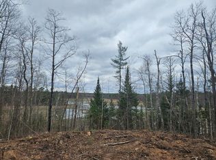 11284N Vasa Road, Hayward, WI 54843