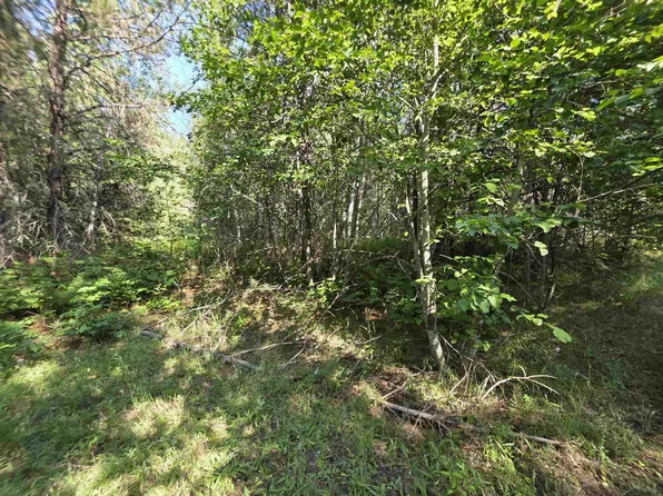 71 Hearts Delight Ln, Newport, WA 99156