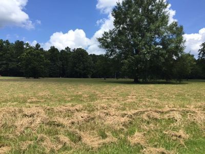 13 N Livingston Rd #71B-1, Madison, MS, 39110