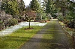 4th image of 1024 134th Ave NE
