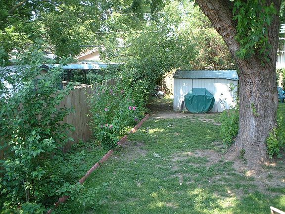 Back Yard From Porch