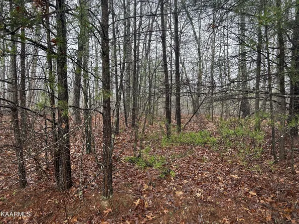 0 Woodland Trl Lot 20B, Sunbright, TN 37872